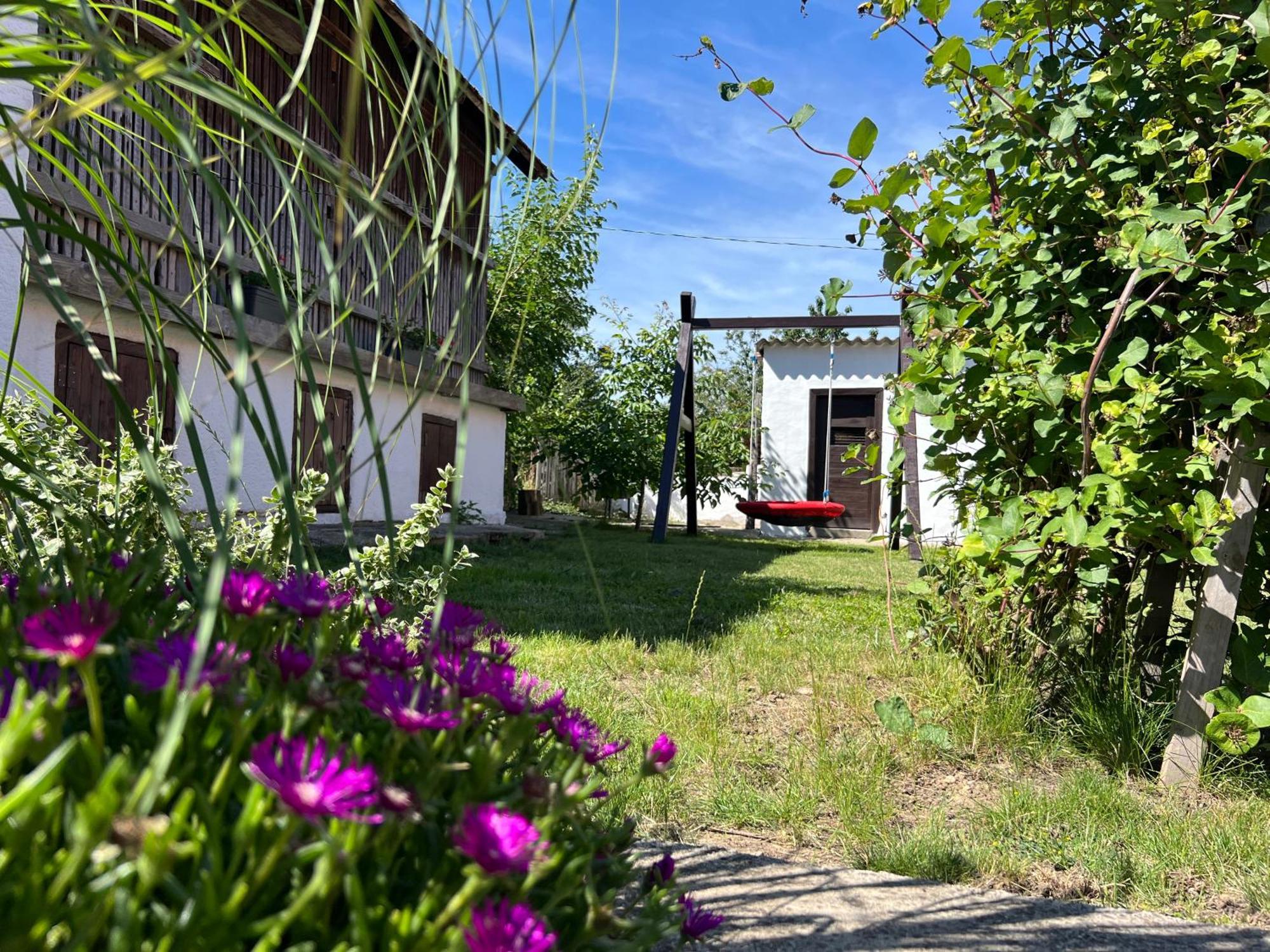 Nest Apartman Balatonszarszo Exteriér fotografie